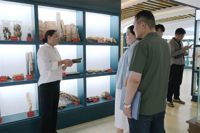 省教育厅组织开展2026年职教活动周集中采访