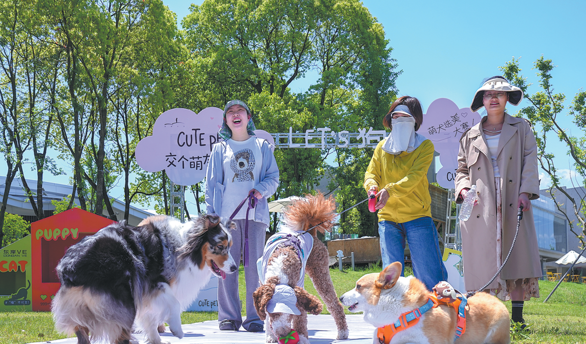 Pet-friendly travel demand on upswing