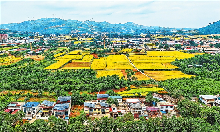 Fabulous village scenery of Yuzhou Fabulous village scenery of Yuzhou