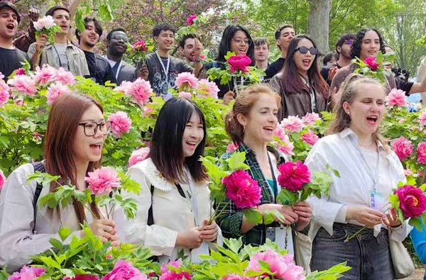 Luoyang, the peony city that stole a British girl's heart