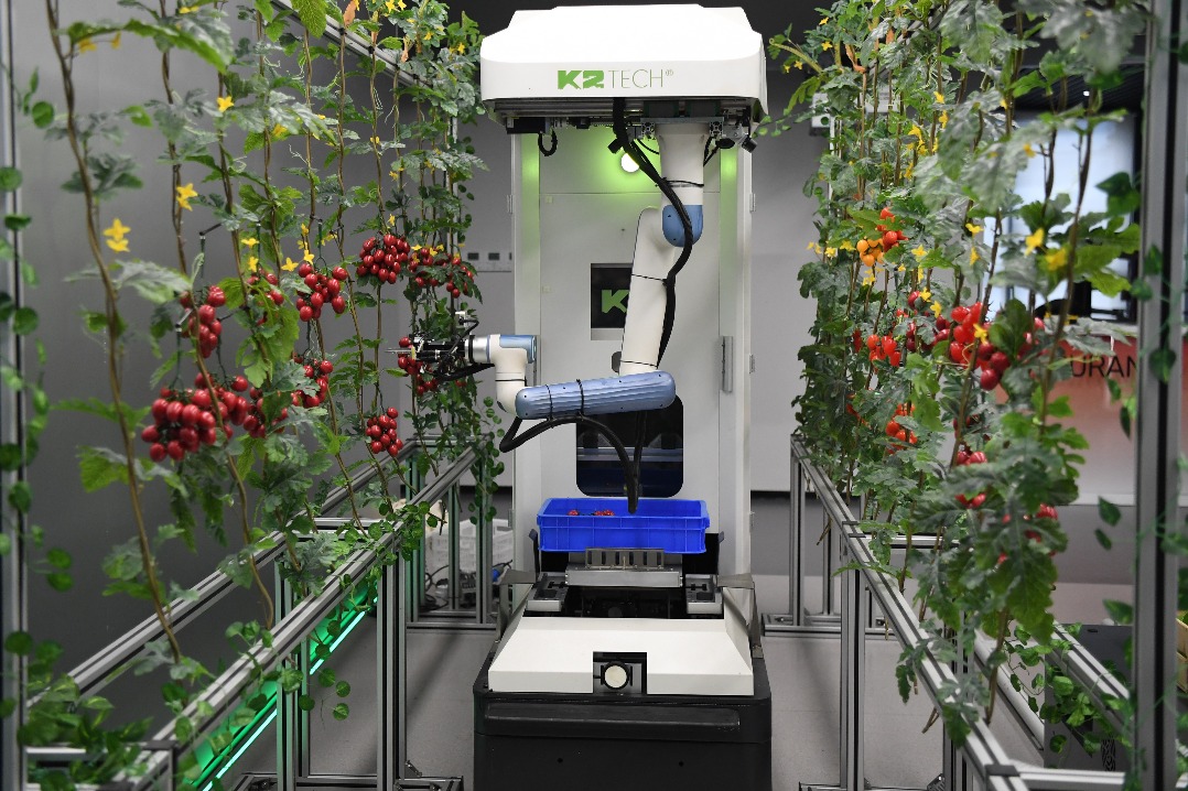 China unveils five-year rural modernization plan
