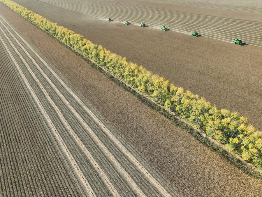 China issues 5-year plan for agricultural, rural modernization