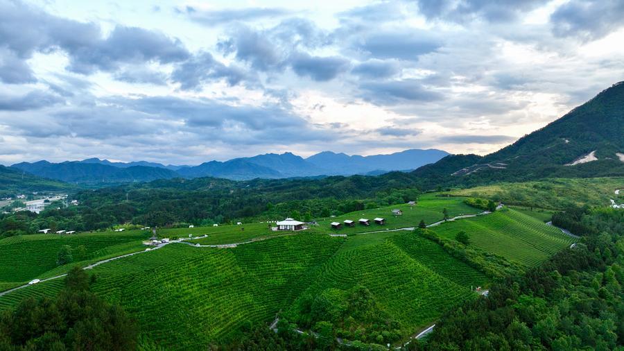 China's poverty alleviation experience: global contribution to poverty eradication