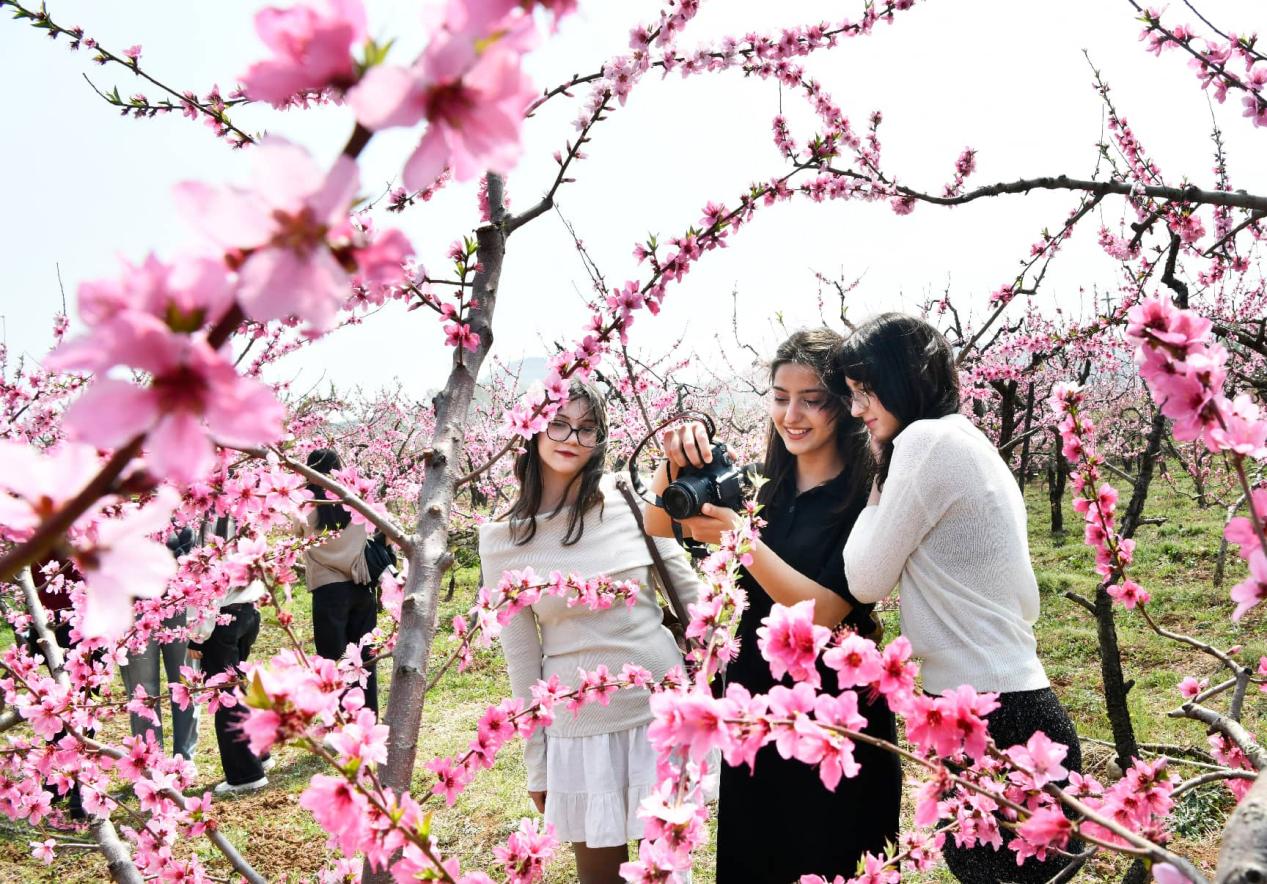 Beyond filtered narratives: China's genuine rural charm wins over global audiences