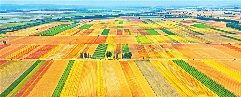Fabulous farmland scenery of Mengzhou Fabulous farmland scenery of Mengzhou