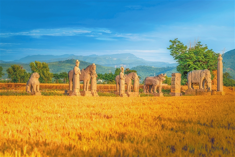 Wheat and whispers of history