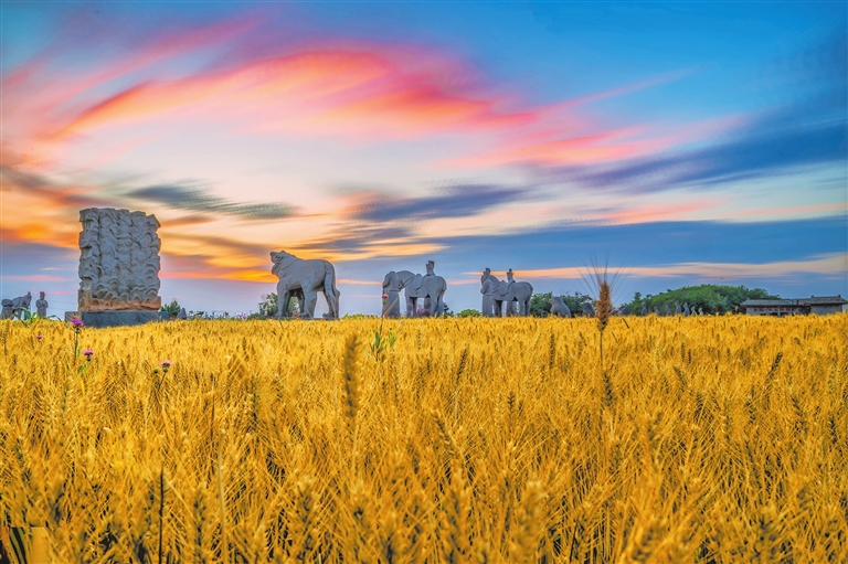 Wheat and whispers of history