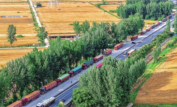 Henan's 13-day summer wheat harvest concludes