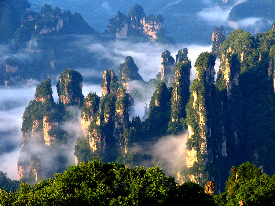 China's world natural heritage sites see sustained conservation improvement