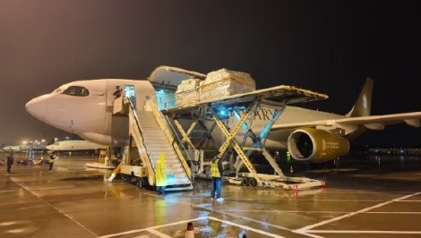 Zhengzhou-Budapest air route sees trade value up 80.9% in Jan-May