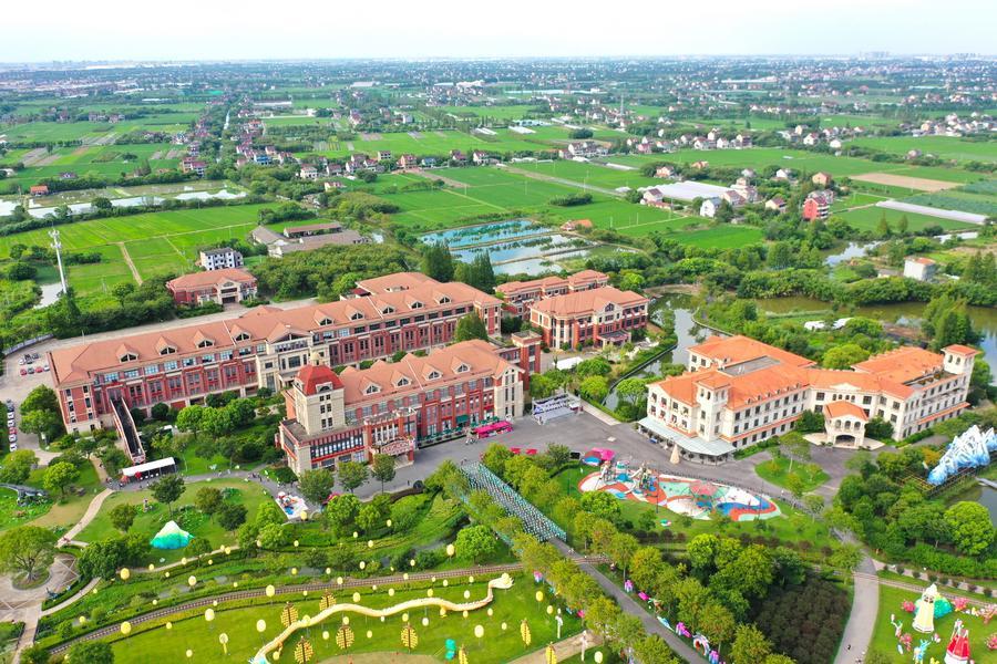 Party building powers rural revitalization, lights up dreams of villagers