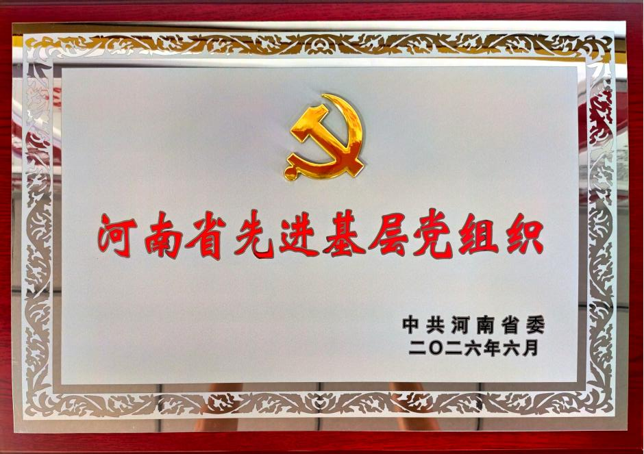 省政府投资项目代建中心党支部荣获“河南省先进基层党组织”称号