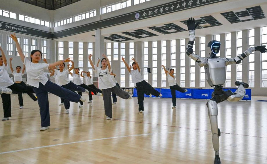 Why are Chinese robots both affordable and highly capable?