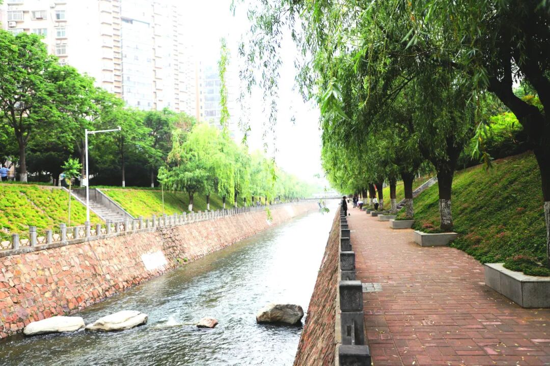 事关城市“第二水源”！河南七地做法被全国推广学习