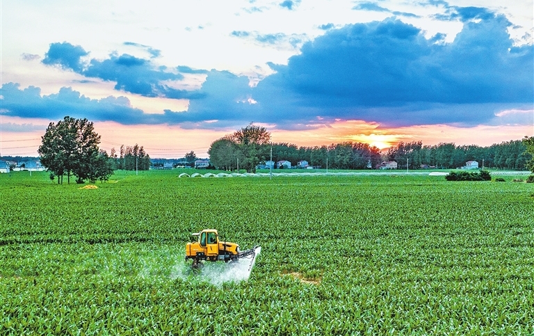 Farmers conduct herbicide spraying in Xiayi
