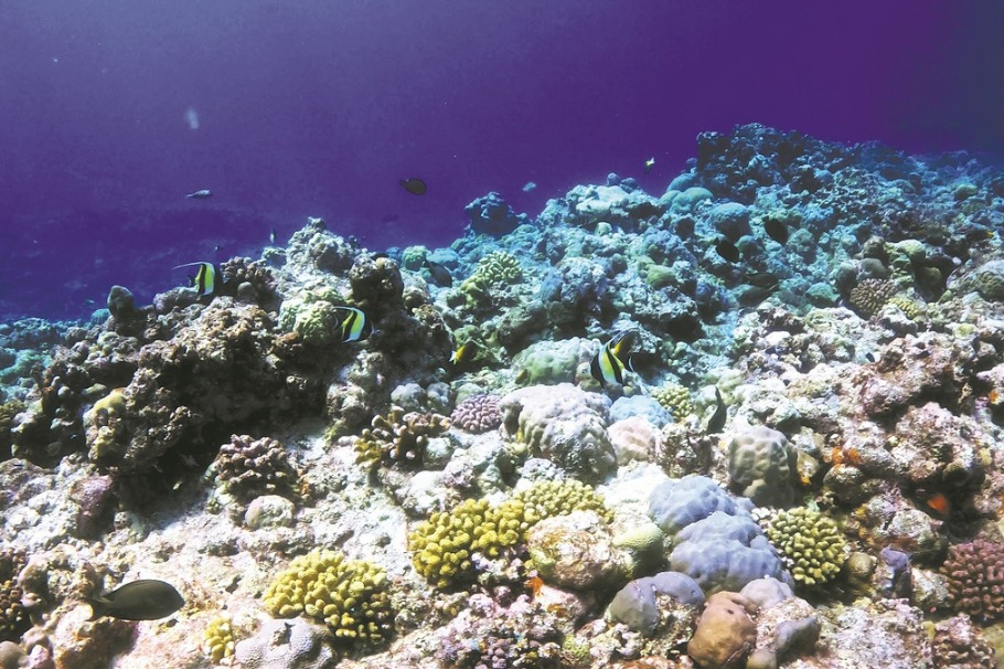 China announces new steps to protect Huangyan Island National Nature Reserve