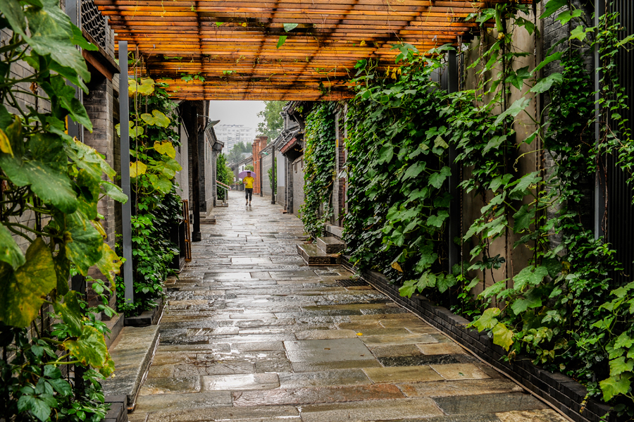 Xi Story: Six-foot alley reveals Chinese wisdom of making room for others