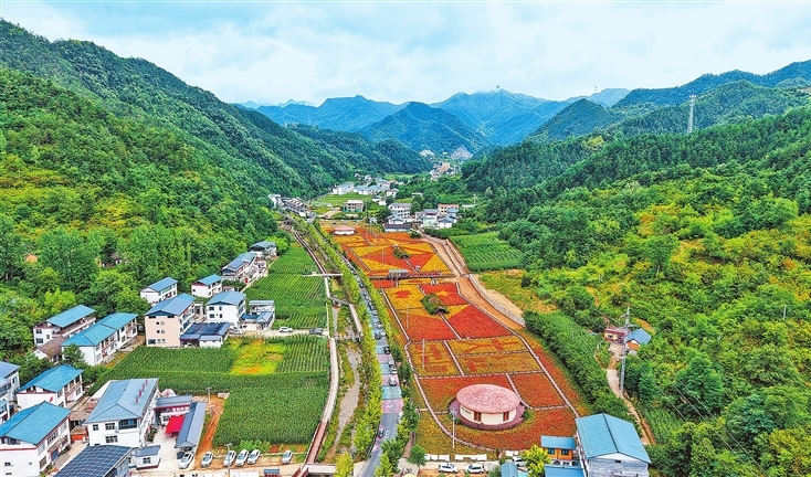 Blooming hills, booming summer economy