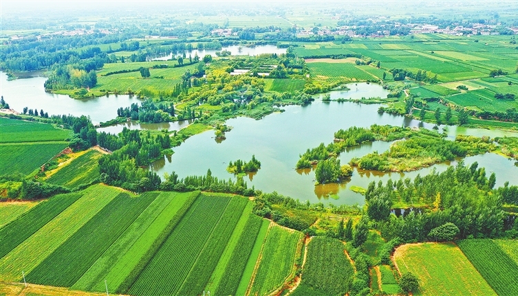 Lush wetland scenery in Xuchang