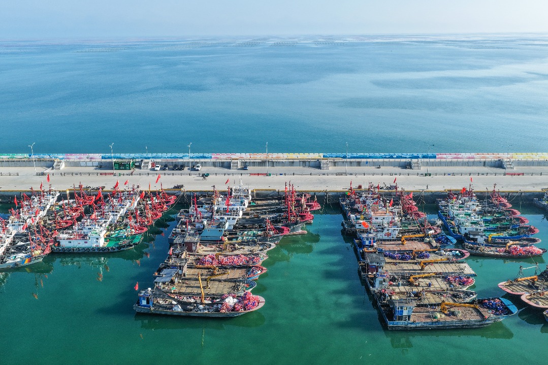 High-frequency data signals steady improvement in China's economy in July
