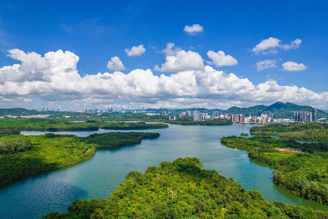 China unveils ambitious five-year ecological plan