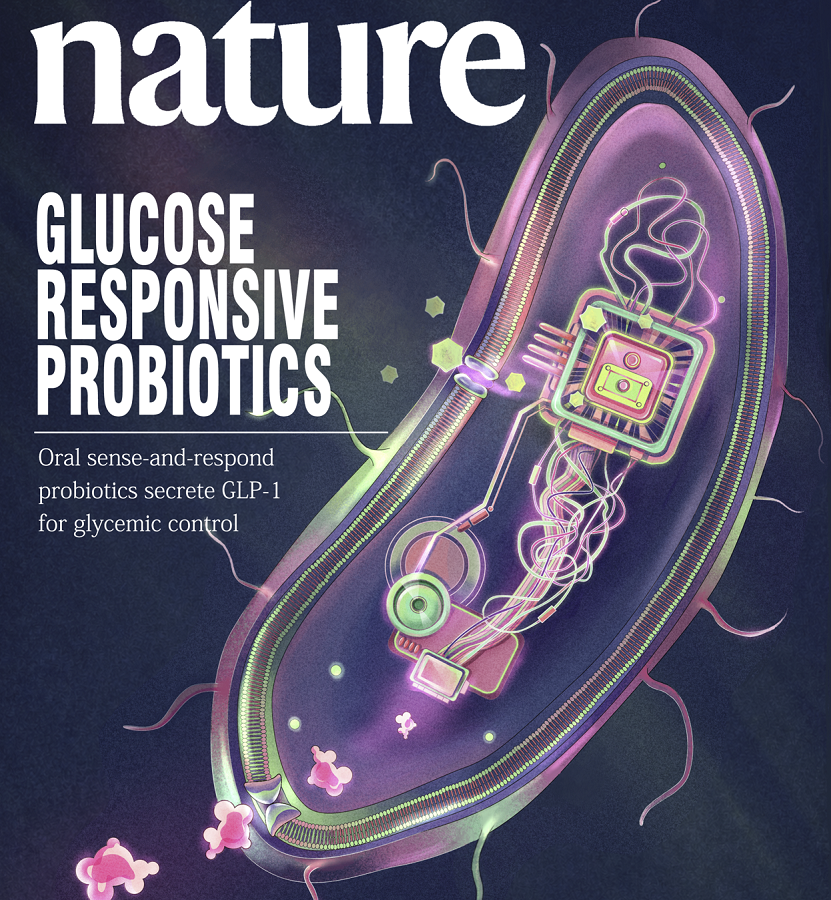 Chinese scientists develop new approach for diabetes treatment