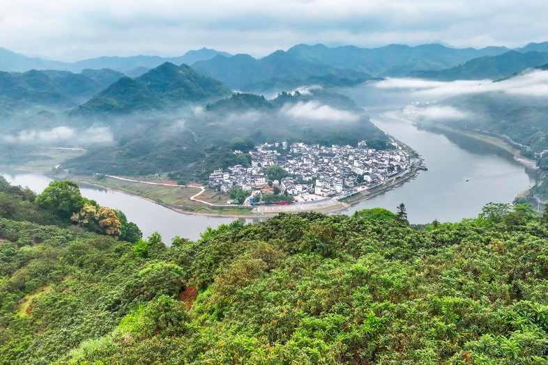 Xi Focus: Charting a green path to development