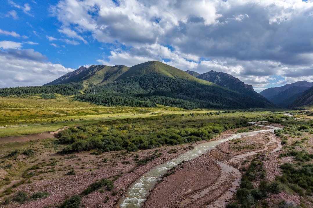 China marks National Ecology Day with solid gains in green push