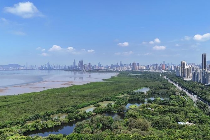 Eco code takes effect to drive green modernization