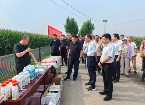 秋作物后期病虫害统防统治观摩会在夏邑召开