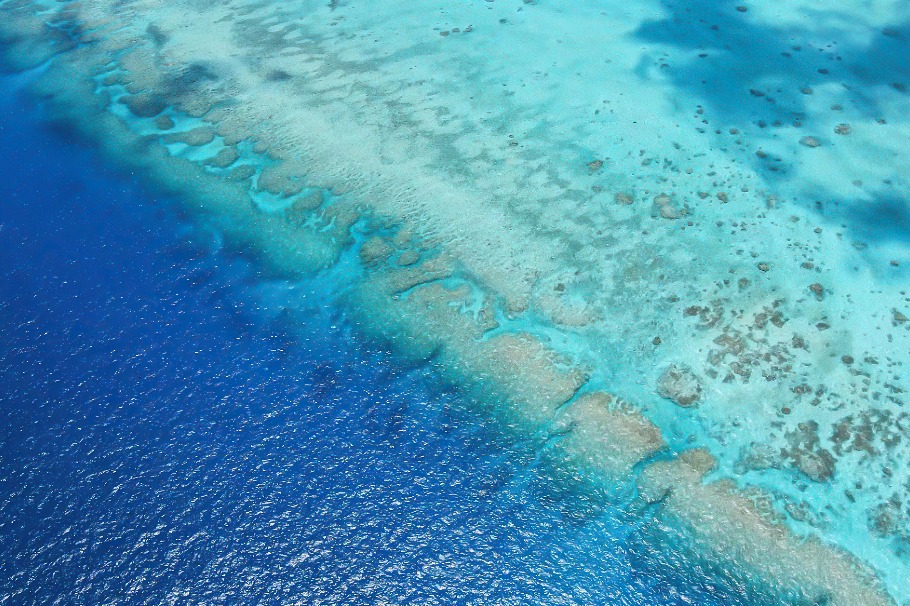 New marine observation station expands South China Sea reef network