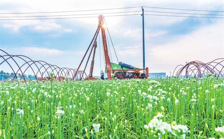 Drilling for a stronger agricultural future