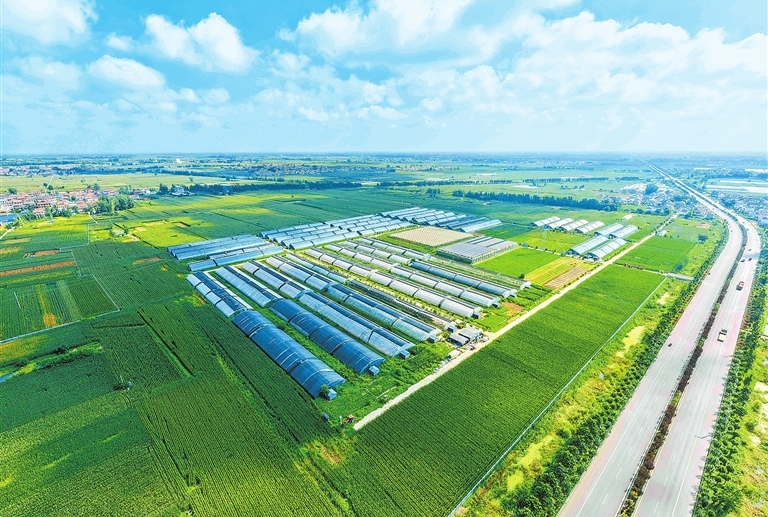 Fields and farms paint a perfect village scene in Henan