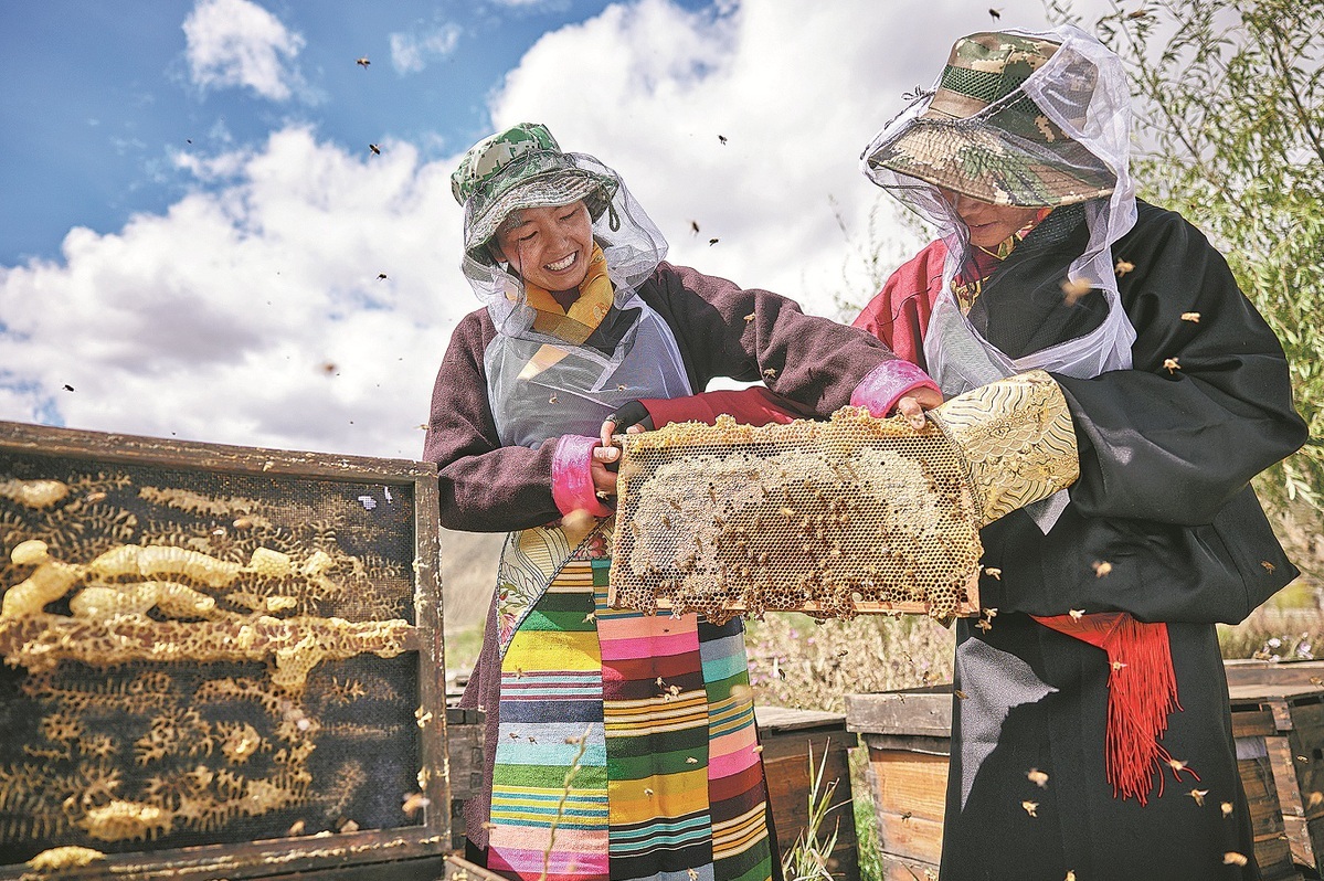 China reports steady consolidation of poverty alleviation gains
