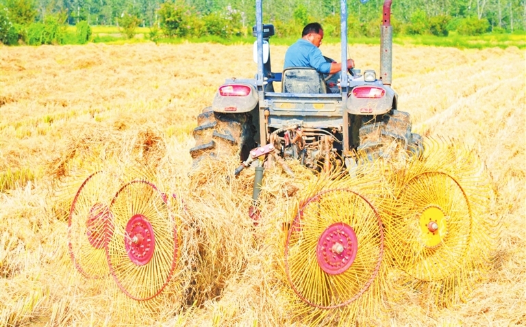 Straw recycling in Huaibin