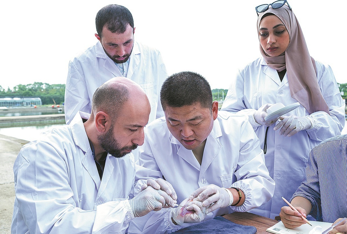 Research partnership boosts Egypt's aquaculture, food security