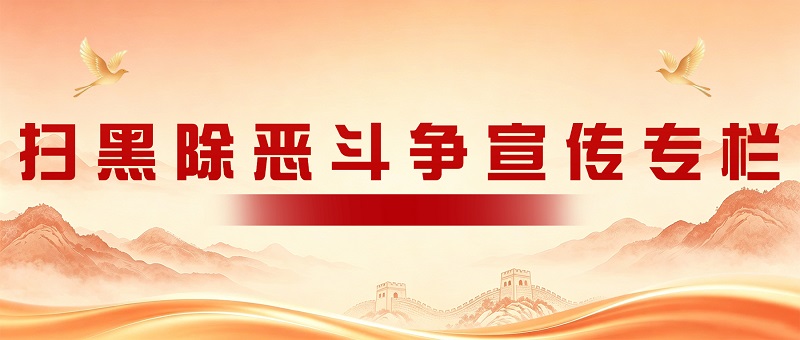 决胜扫黑除恶收官年专栏