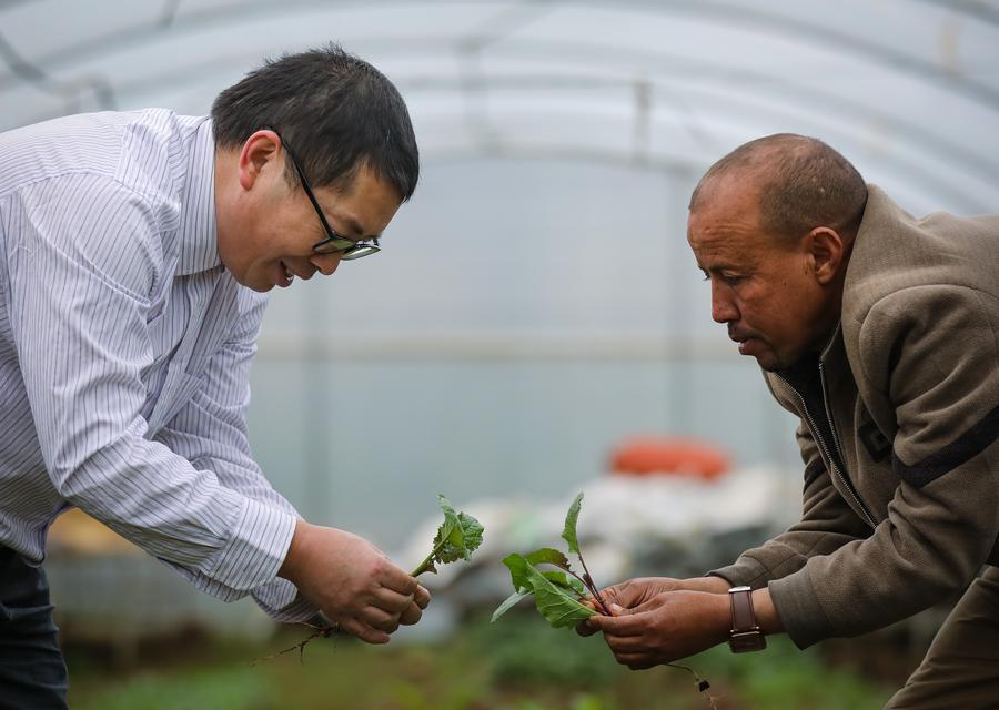 Xi's development first vision spurs Global South's shared growth