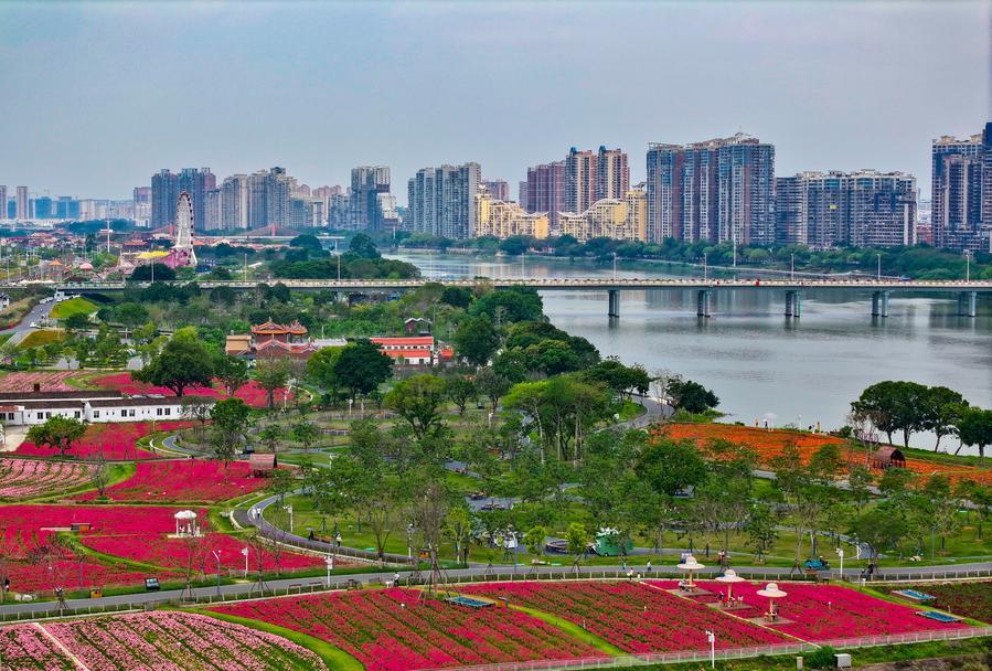 China's property market sees major changes in supply and demand