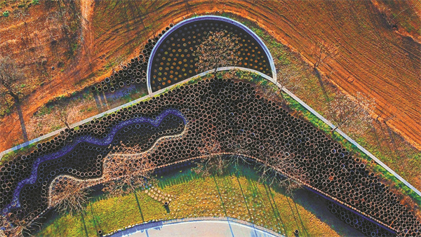 State Grid Sanmenxia empowers edible fungi industry development