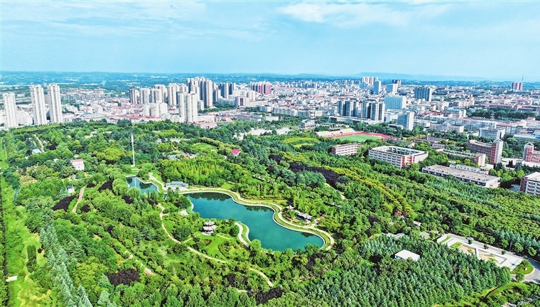 Aerial view shows greenery across Mengjin