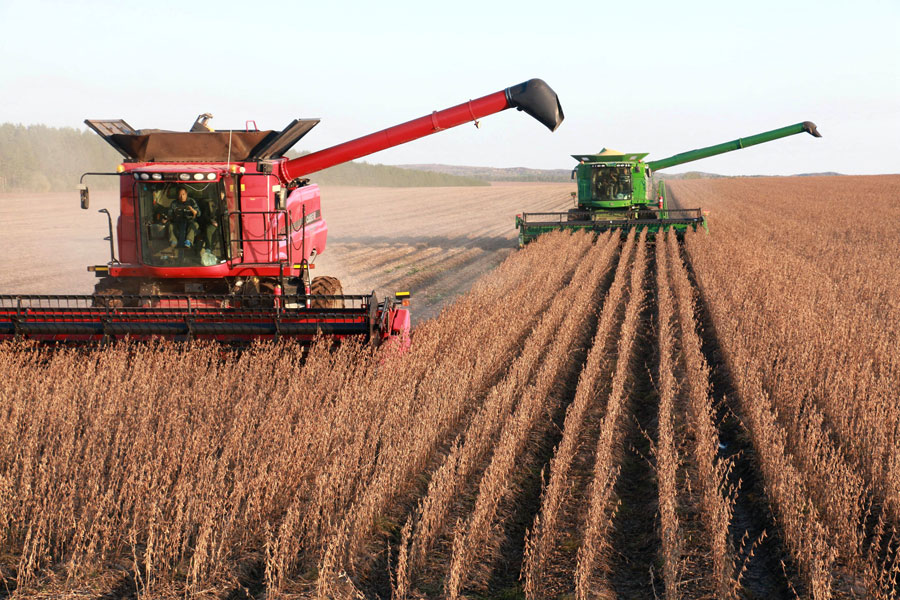 China's grain industry annual output value to exceed 4.5 trln yuan during 2026-2030