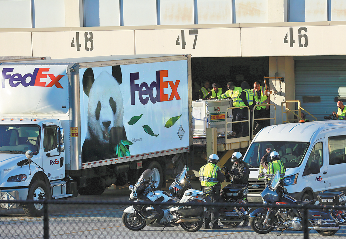 Two giant pandas arrive in Atlanta for 10-year stay