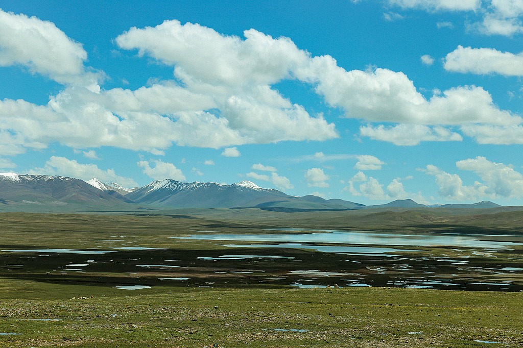 National parks improve key ecosystems