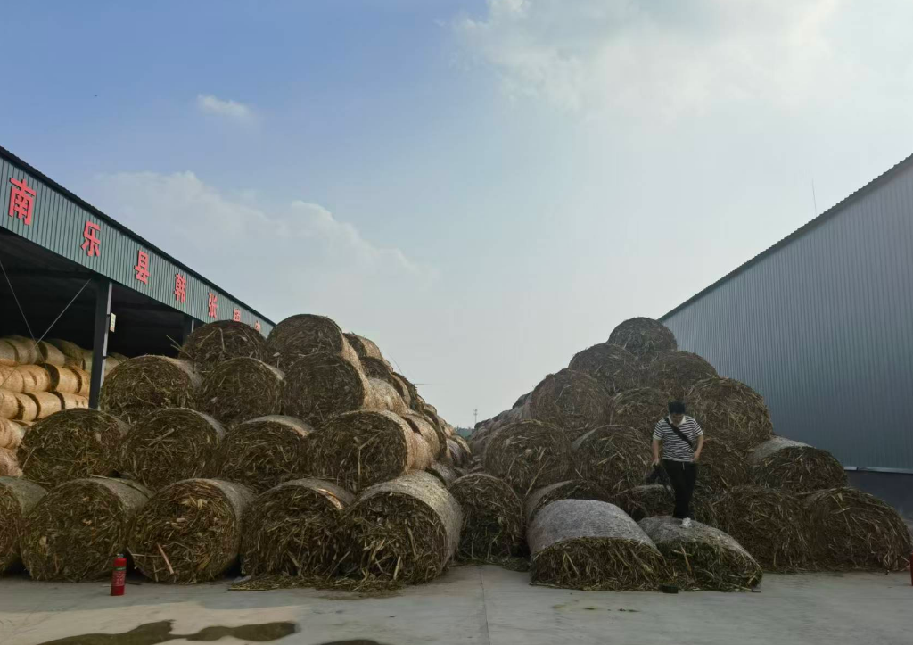 美丽中国·河南实践|点草成金!濮阳秸秆居然能做衣服、酱油、汽车零部件? 美丽中国·河南实践|点草成金!濮阳秸秆居然能做衣服、酱油、汽车零部件?