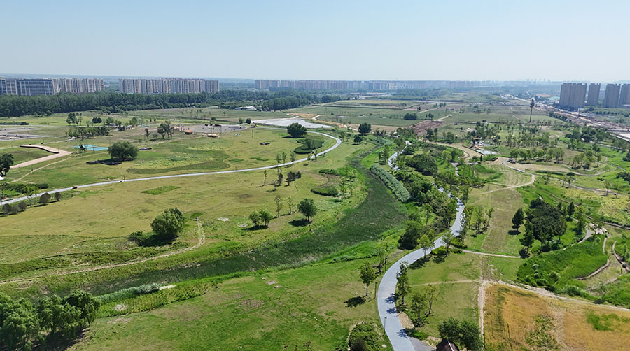 Conference calls for enhanced protection of major archaeological sites